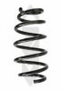 SPIDAN 55210 Coil Spring